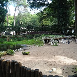 African penguin exhibit - Nesting area, 2023-09-24