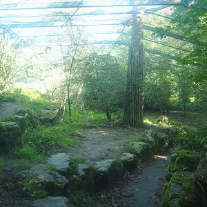 Amur tiger exhibit, 2023-09-24