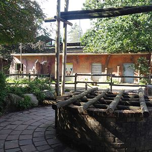 Ancient City - Well and Bactrian camel paddock, 2023-09-24