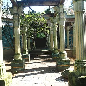 Ancient City - Western Eurasian griffon vulture aviary, zone with columns, 2023-09-24