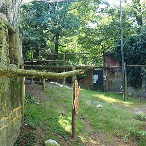 Ancient City - Western Eurasian griffon vulture aviary, 2023-09-24