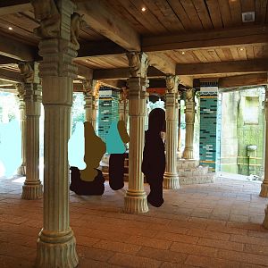 Ancient City - Palace of King Darius with vulture and tiger viewing windows, 2023-09-24