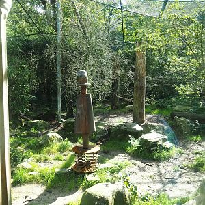 Ancient City - Amur tiger exhibit, 2023-09-24