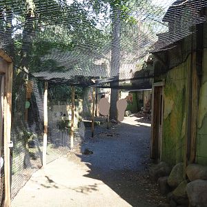Ancient City - Visitor area in waldrapp aviary, 2023-09-24