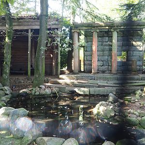 Ancient City - Waldrapp aviary, 2023-09-24