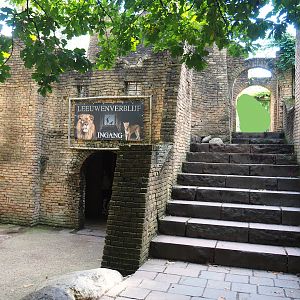 Ancient City - Building with African lion viewing areas, 2023-09-24