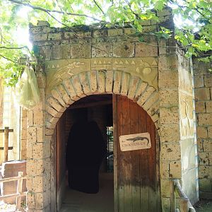 Ancient City - Building with African dwarf crocodile exhibit, 2023-09-24