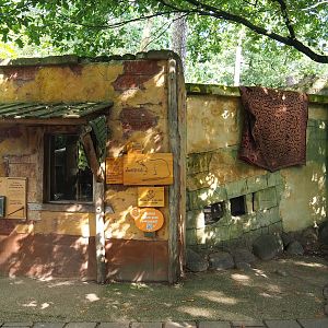 Ancient City - Black rat exhibit, 2023-09-24