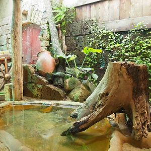 Ancient City - Nile monitor terrarium, 2023-09-24