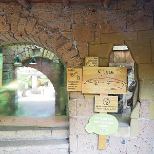 Ancient City - Nile monitor viewing windows and signage, 2023-09-24