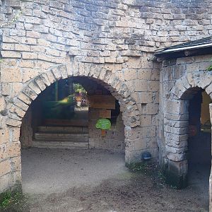 Ancient City - Viewing area for Nile monitor and North African mastigure terrariums, 2023-09-24