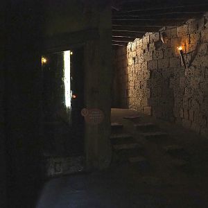 Ancient City - Egyptian fruit bat viewing area, 2023-09-24