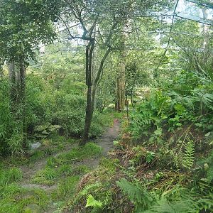 Amur tiger exhibit, 2023-09-24