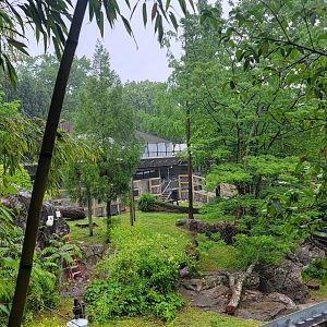 Asia Trail - Panda Yard Construction