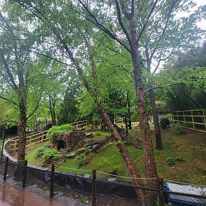 Asia Trail - Panda Yard Construction