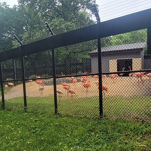 Bird House - Temporary Flamingo Exhibit