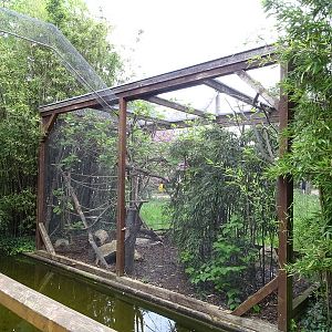 Emperor tamarin outdoor enclosure