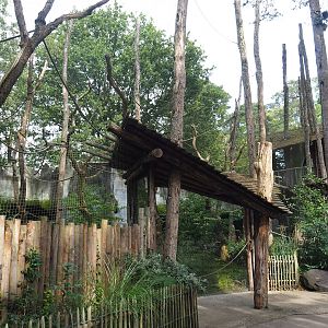 Siamang exhibit with viewing areas, 2023-09-24