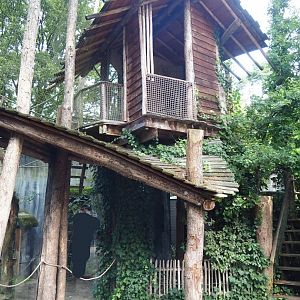 Siamang exhibit viewing areas, 2023-09-24