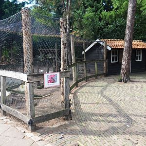 Petting zoo area - Barnevelder chicken aviary and Chicken and goose coop, 2023-09-24
