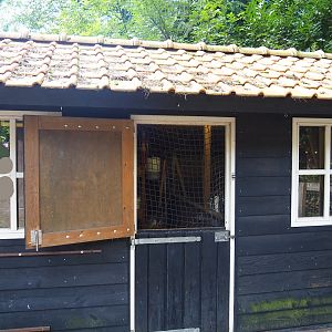 Barnevelder chicken and Twentse Landrace goose coop, 2023-09-24