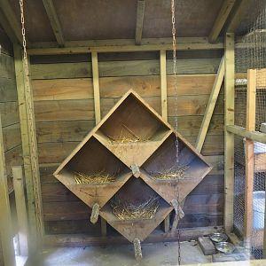 Barnevelder chicken coop, 2023-09-24