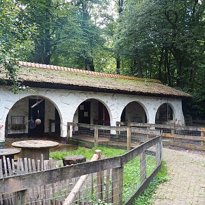 Petting zoo area - Bentheim black pied pig and Saanen goat stable, 2023-09-24