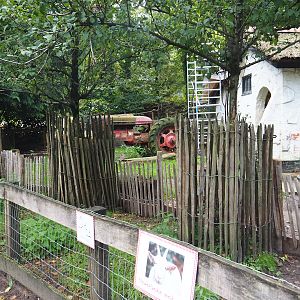 Petting zoo area - Saanen goat paddock, 2023-09-24