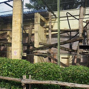 Sunda pig-tailed macaque exhibit, 2023-09-24