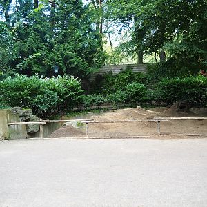 Black-tailed prairie dog walk-through exhibit - Main walkway and area between main and detour walkways, 2023-09-24