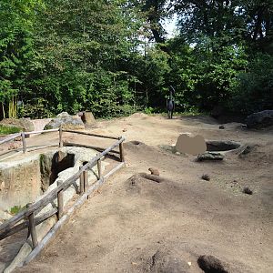 Black-tailed prairie dog walk-through exhibit, with visitor pop-up area, 2023-09-24
