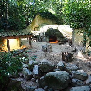 Meerkat exhibit, 2023-09-24