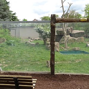 Resus monkey enclosure