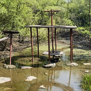 Exhibit of blue sheeps