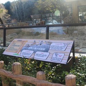 Exhibit board of fennec foxes