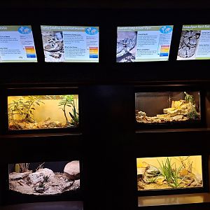 Wall of small terrariums