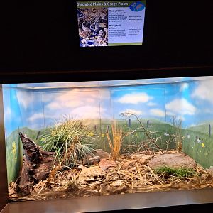 Glaciated and Osage plains enclosure