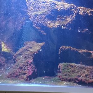 First North sea and north east Atlantic Tank