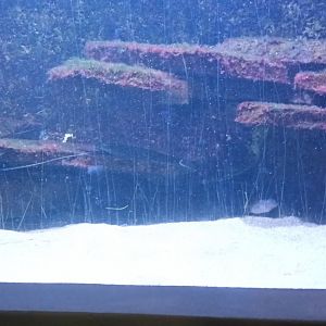 Third north Sea and north east Atlantic Tank