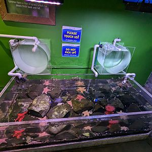 Cold water touch tank