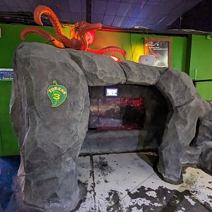 Pacific giant octopus