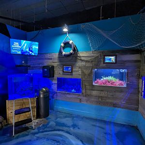 Various saltwater tanks