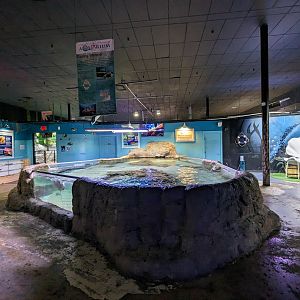 Ray and shark touch tank