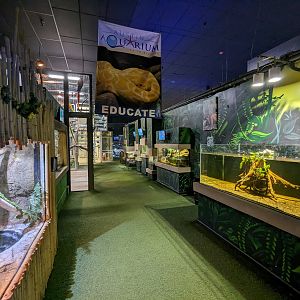 Reptile hall view.