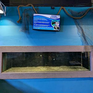 Shark nursery (empty)