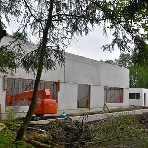 Construction Monkey Island