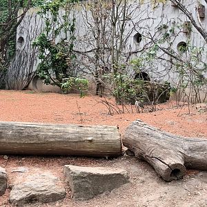 Inside the Australian freeflight Aviary