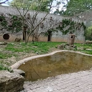 Inside the African freeflight Aviary