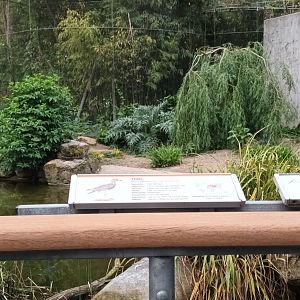 Right side of European freeflight Aviary