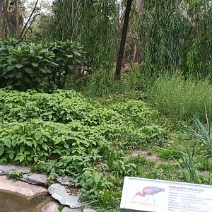 left side of European freeflight Aviary